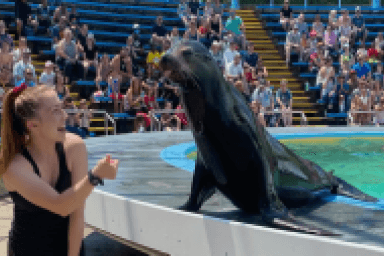 Our friends from the sea